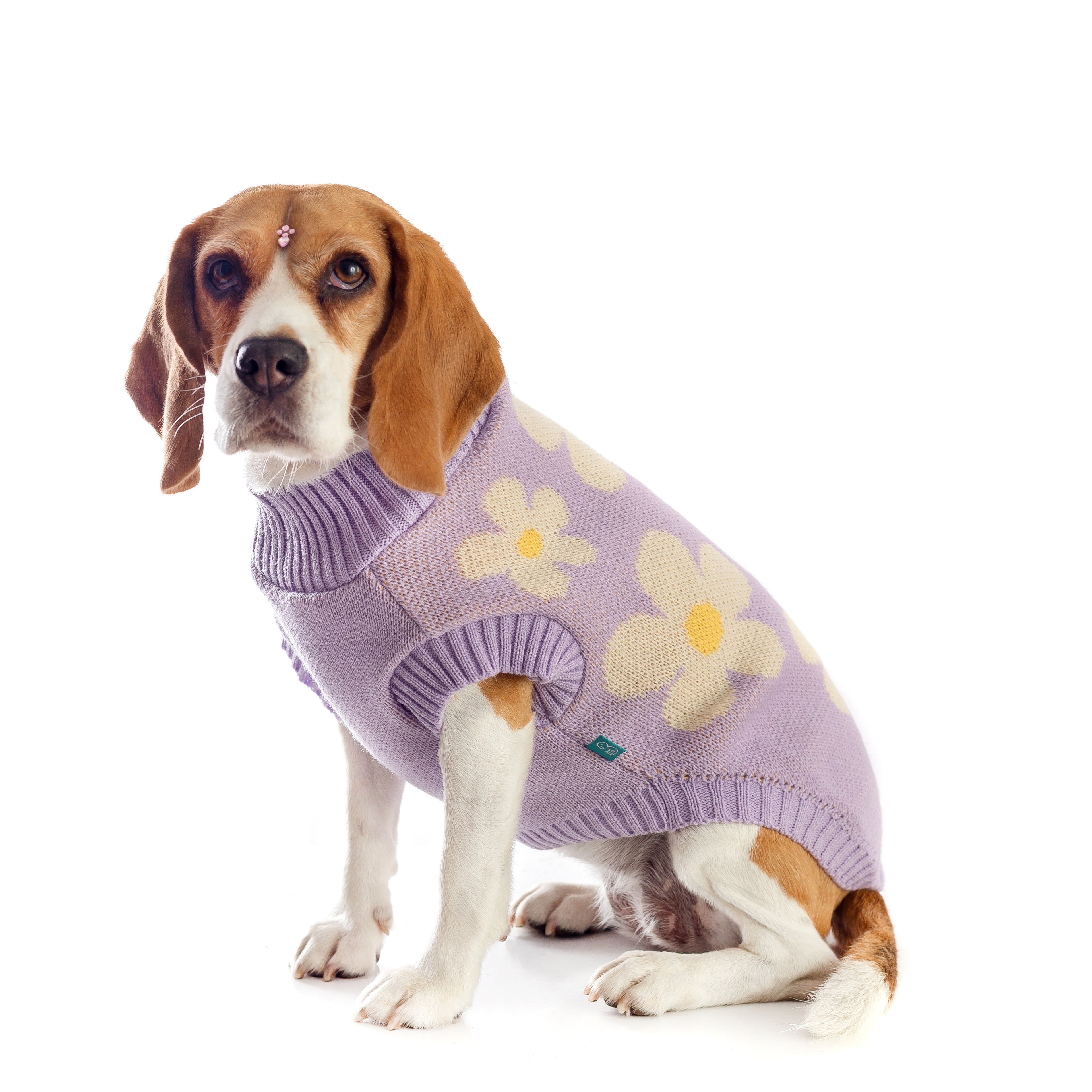 SWEATER LILA FLORES  PERRO/GATO