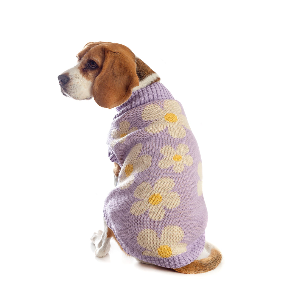 SWEATER LILA FLORES  PERRO/GATO