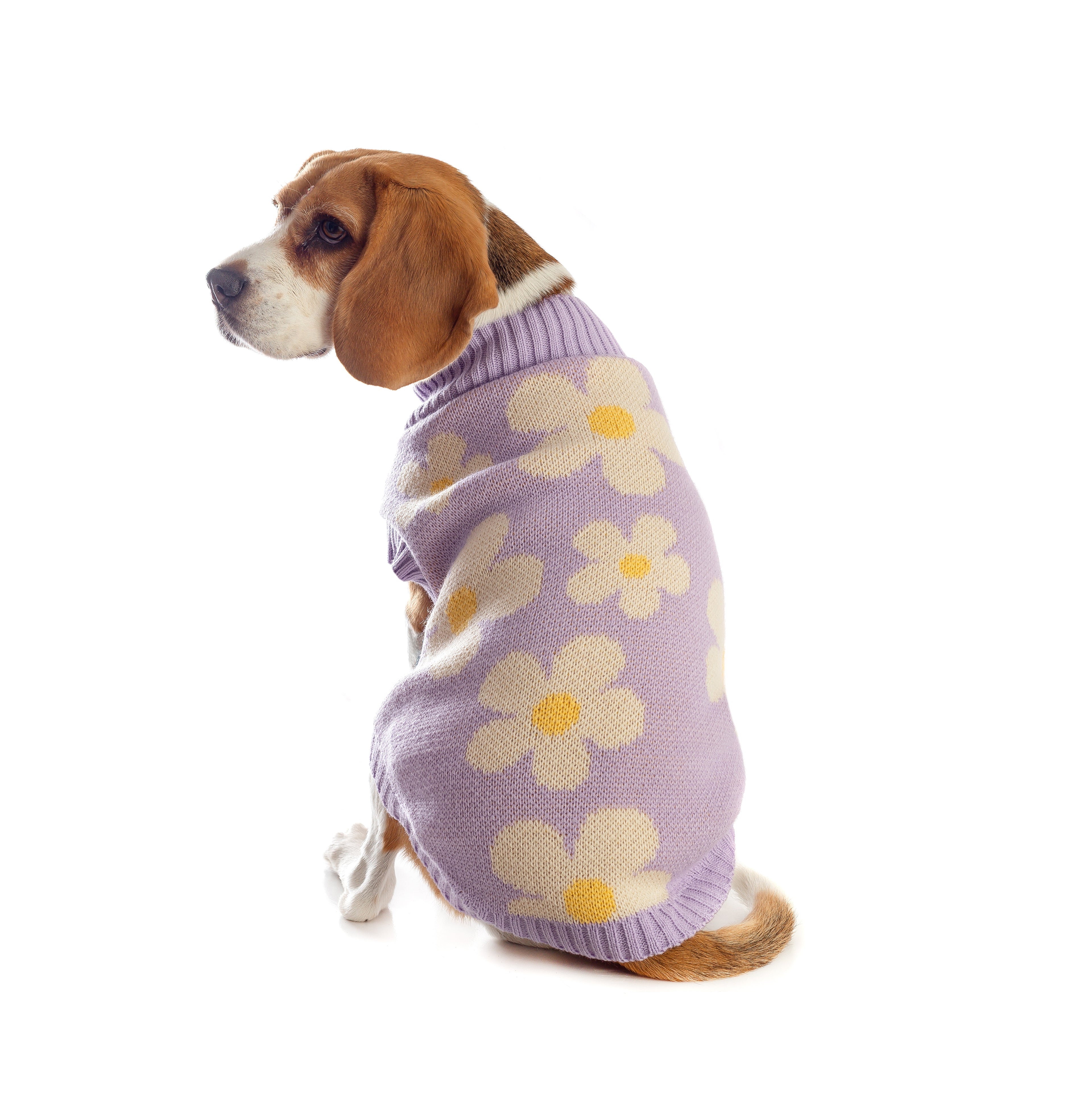 SWEATER LILA FLORES  PERRO/GATO