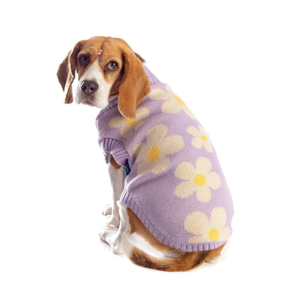 SWEATER LILA FLORES  PERRO/GATO