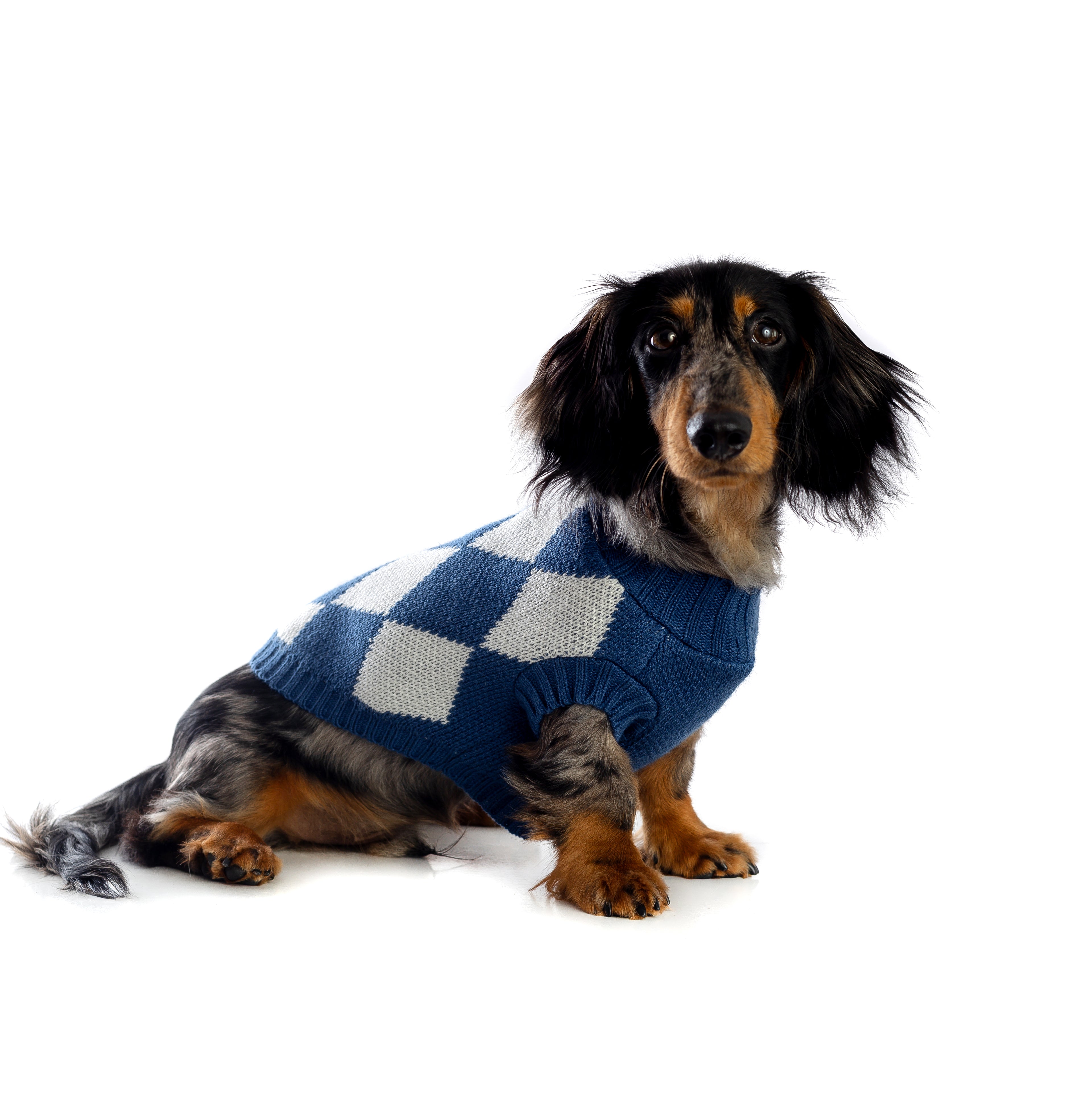SWEATER AZUL PERRO/GATO