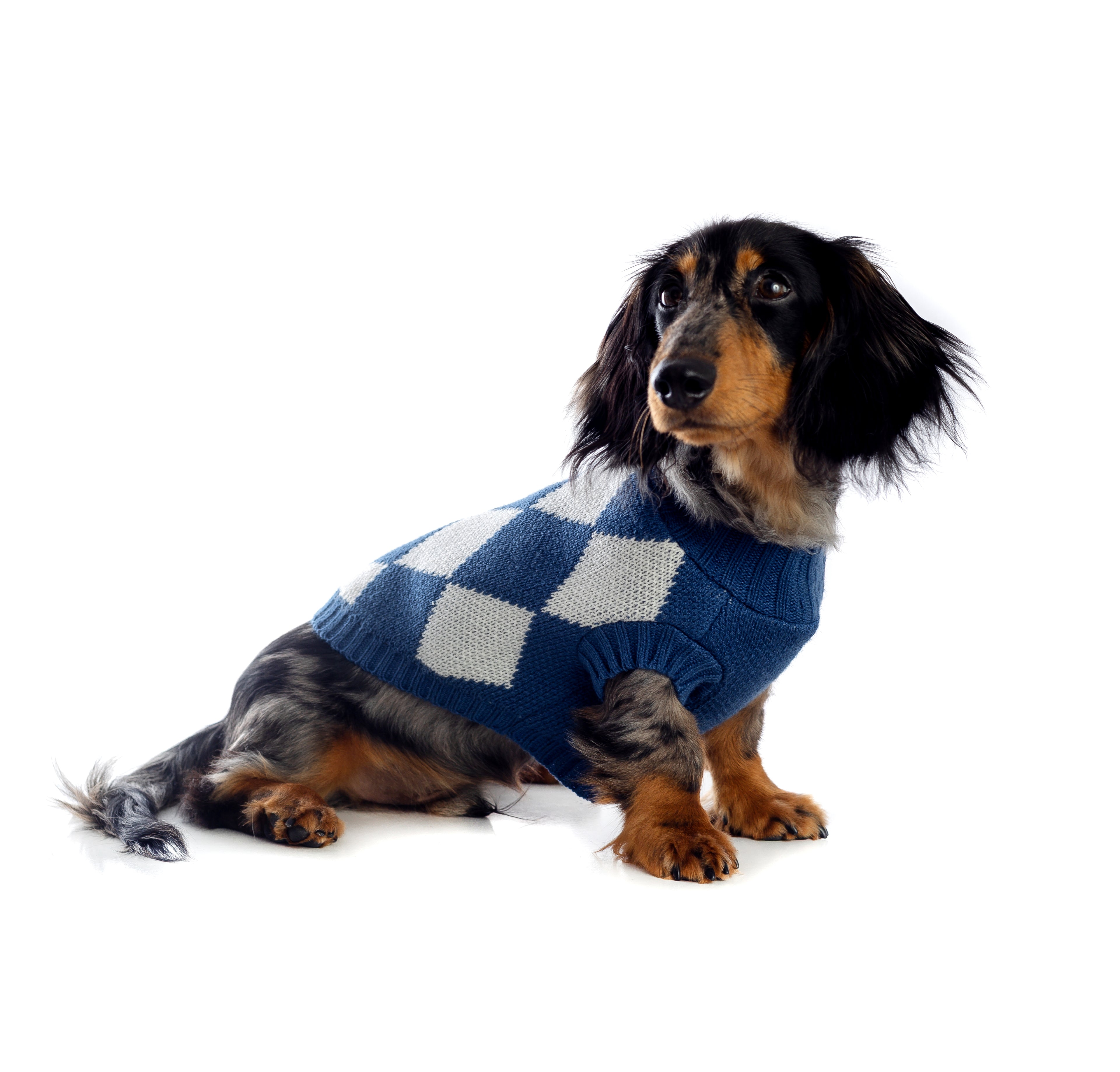 SWEATER AZUL PERRO/GATO