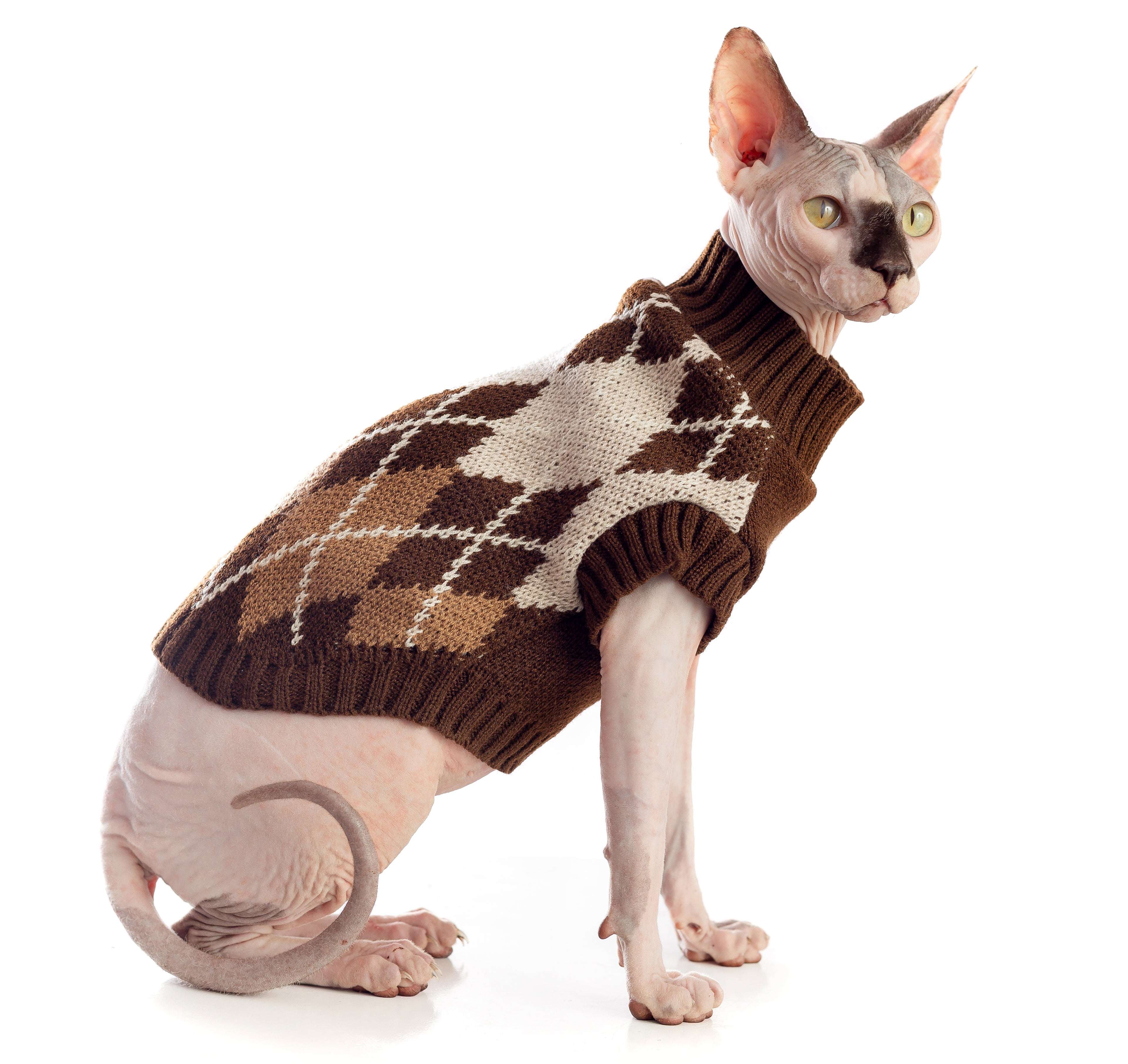 SWEATER MARRON PERRO/GATO
