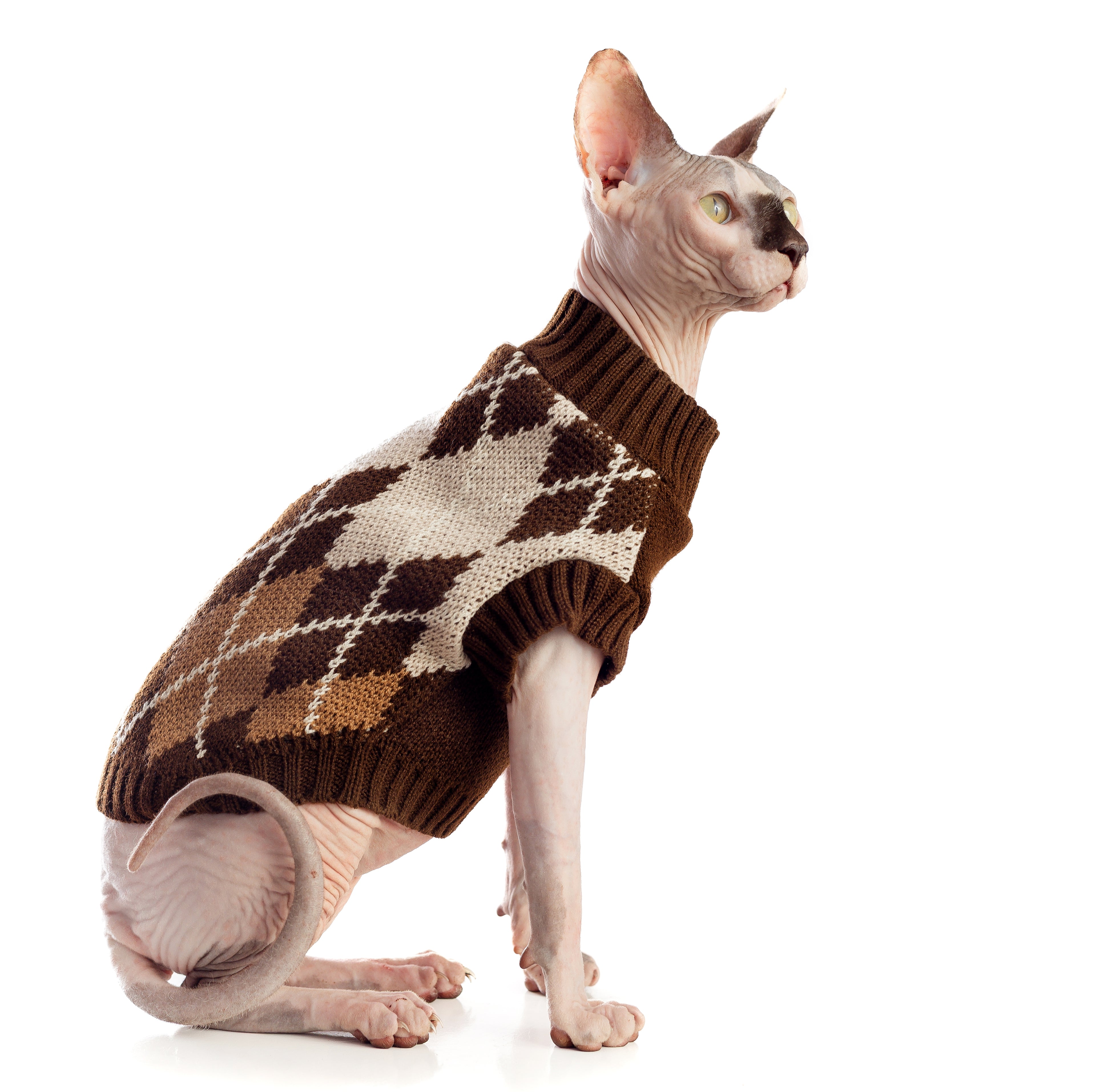 SWEATER MARRON PERRO/GATO