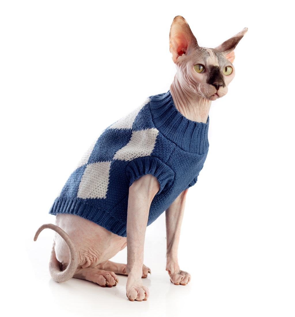 SWEATER AZUL PERRO/GATO