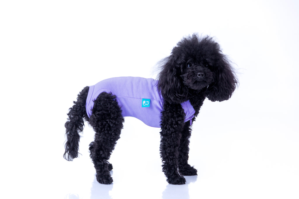 FAJA POST OPERATORIO HEMBRA - LILA