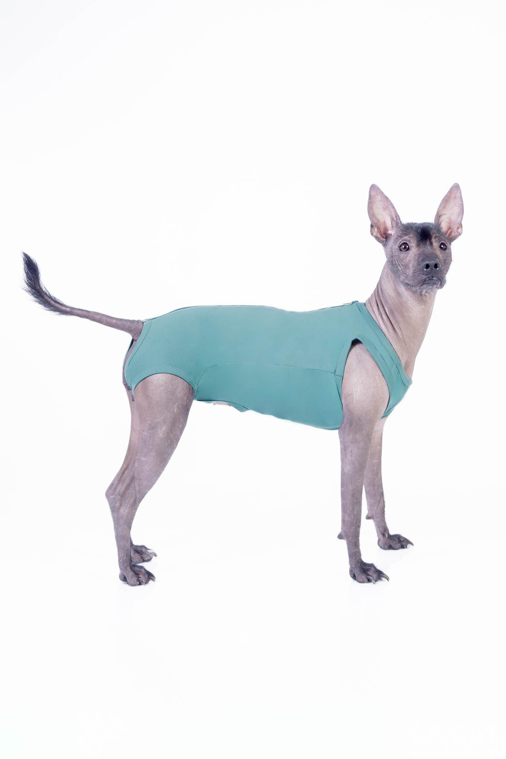 FAJA POST OPERATORIO HEMBRA - VERDE