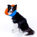 COLLAR ISABELINO RECOVERY PET (ACOLCHADO)