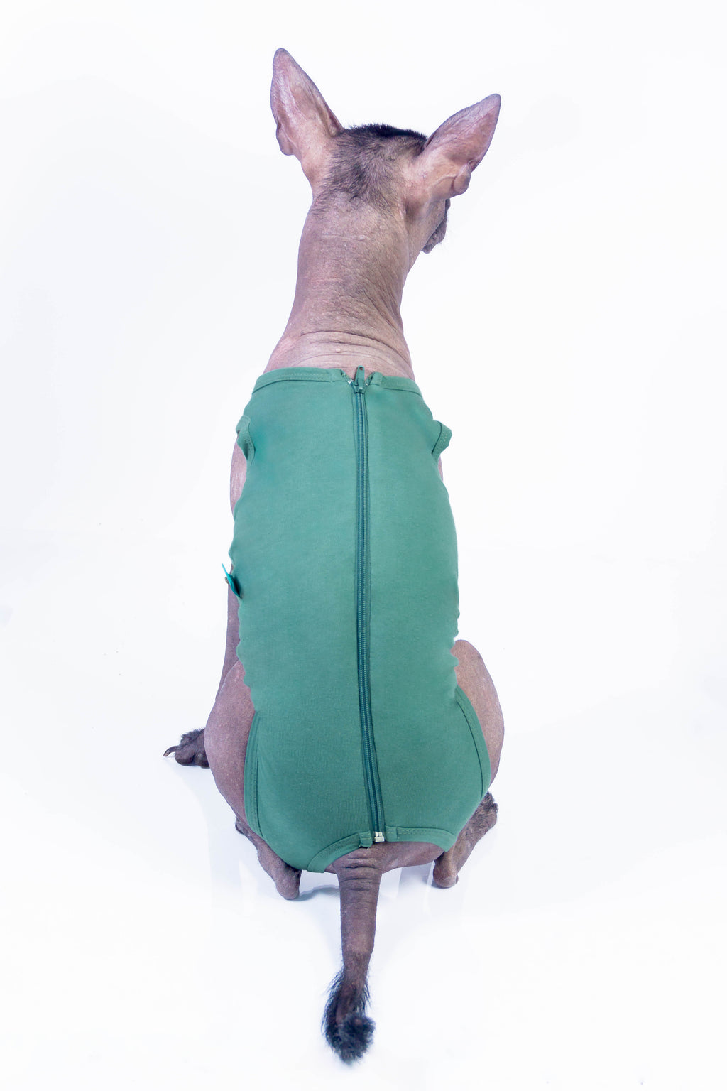 FAJA POST OPERATORIO HEMBRA - VERDE