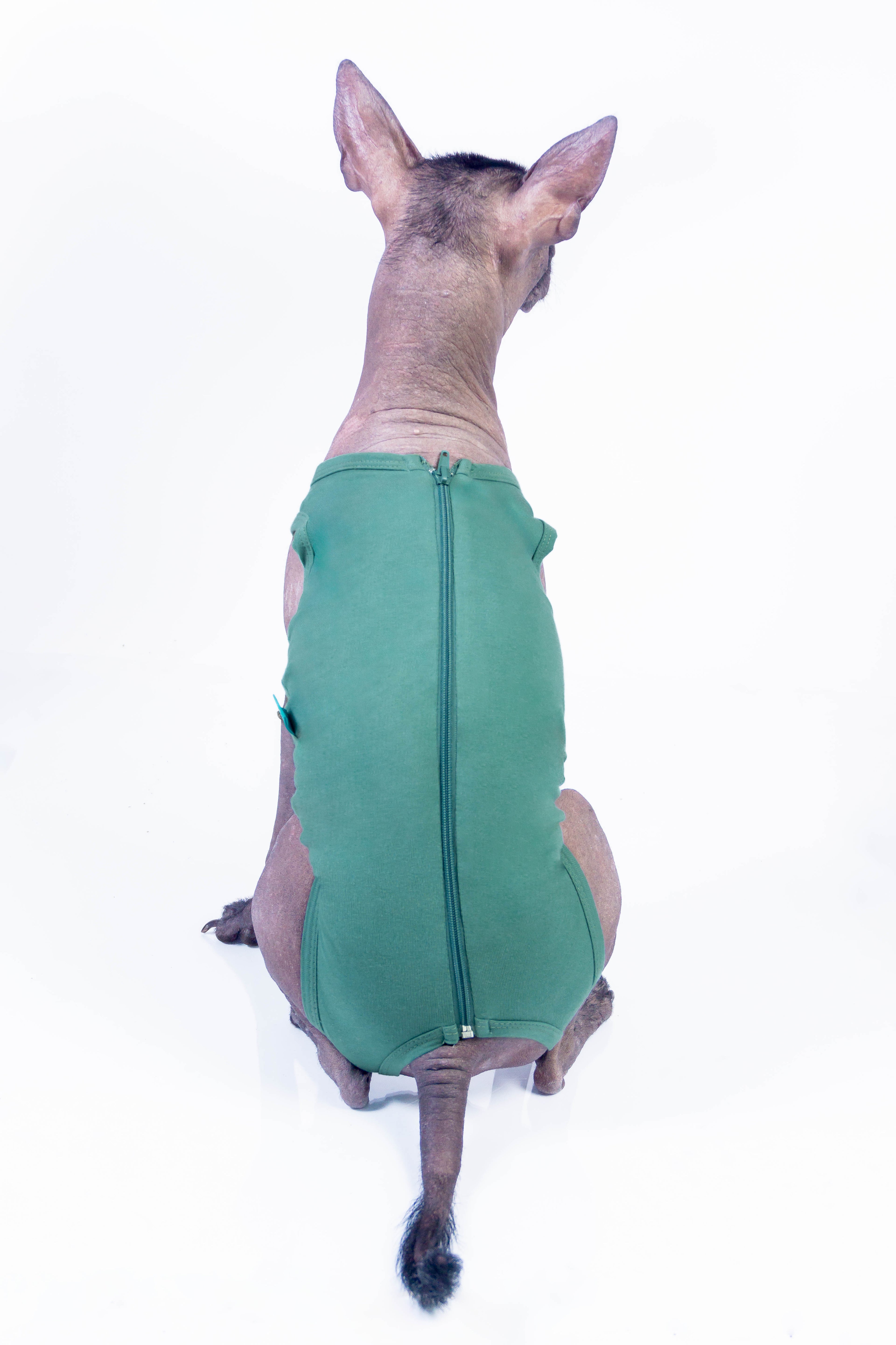 FAJA POST OPERATORIO HEMBRA - VERDE