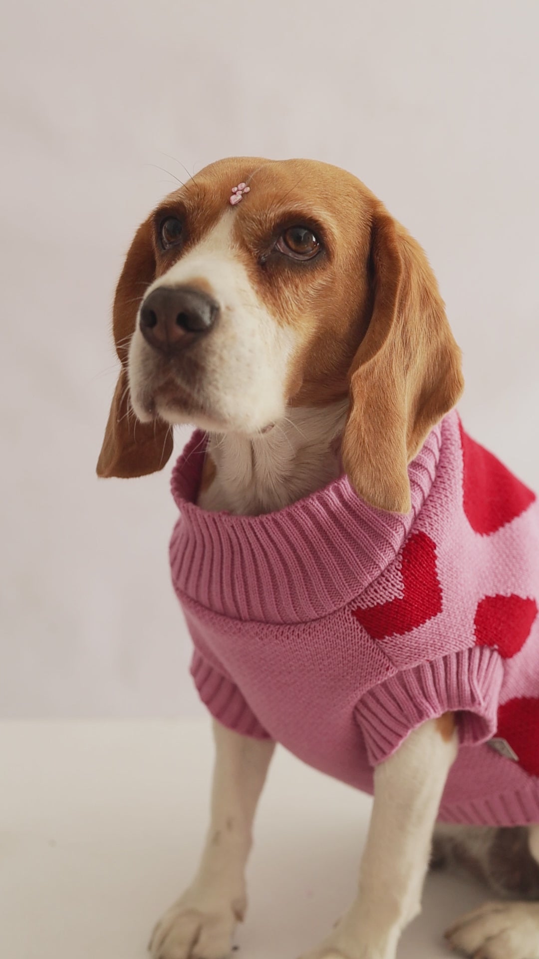 SWEATER CORAZONES